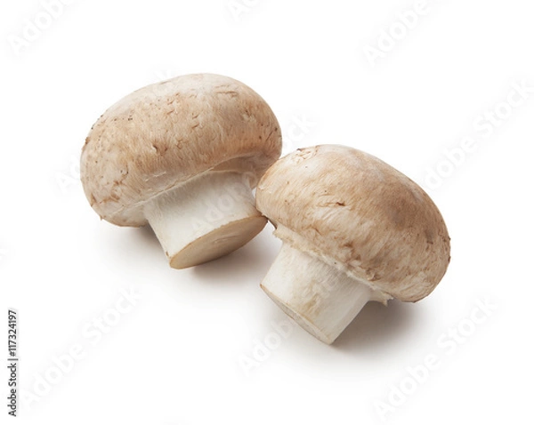 Fototapeta fresh champignon mushrooms isolated on white