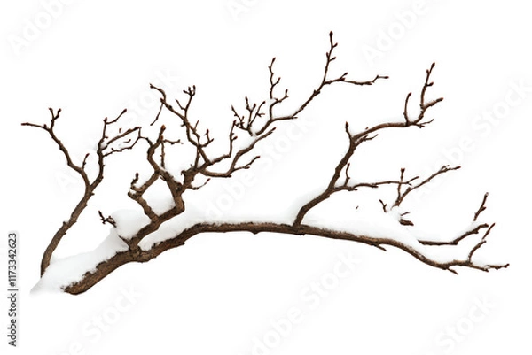 Fototapeta A branch with snow