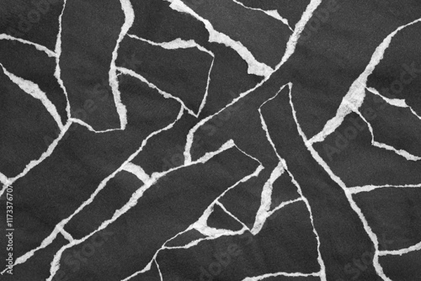 Fototapeta Black and White Torn Paper Collage Style, Ripped Paper Effect, Texture Abstract Background, Copy Space for Text.