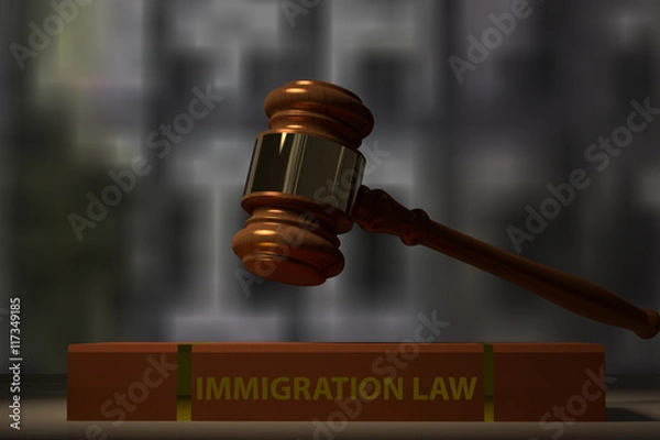 Fototapeta 3D rendering of a judge hammer and immigration law book on a tab