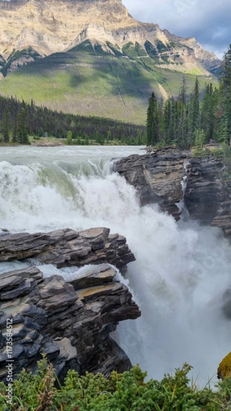 Fototapeta The majestic Athabasca Falls with a huge snow cap mountain and lush larch trees in the background