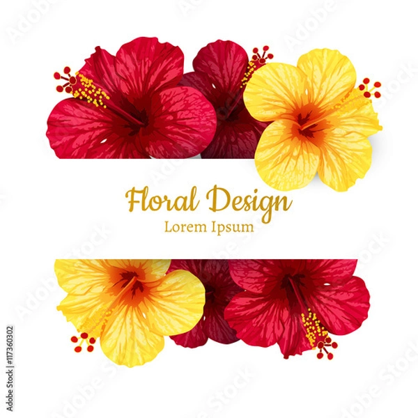 Fototapeta vector hibiscus flower. invitation card.