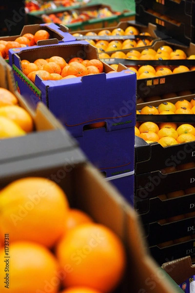 Obraz oranges