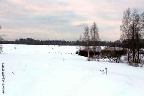 Fototapeta Beautiful winter nature. Trees and bushes covered with frost on a frosty morning. Unique image of wild nature