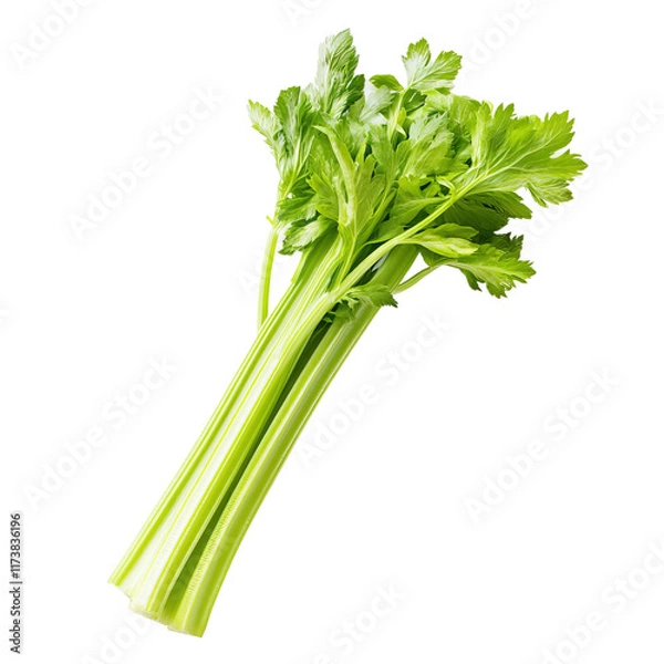 Fototapeta single stem of celery white background isolated