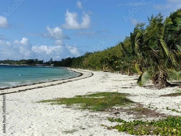 Fototapeta Mauritus - view
