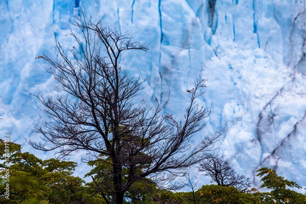 Fototapeta View of Perito Moreno Glacier, Los Glaciares National Park, Argentina.