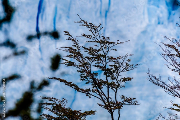 Fototapeta View of Perito Moreno Glacier, Los Glaciares National Park, Argentina.