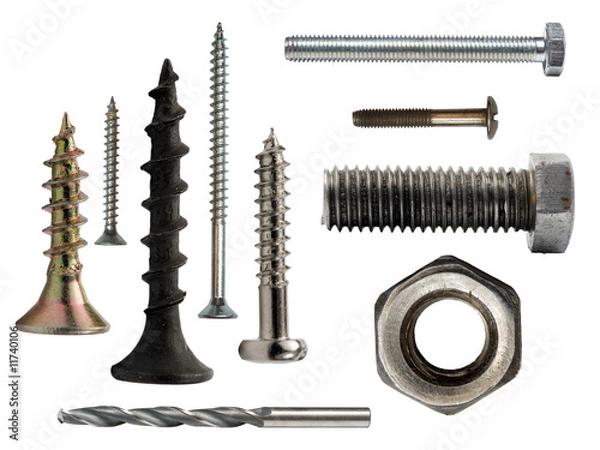 Obraz Bolts and screws