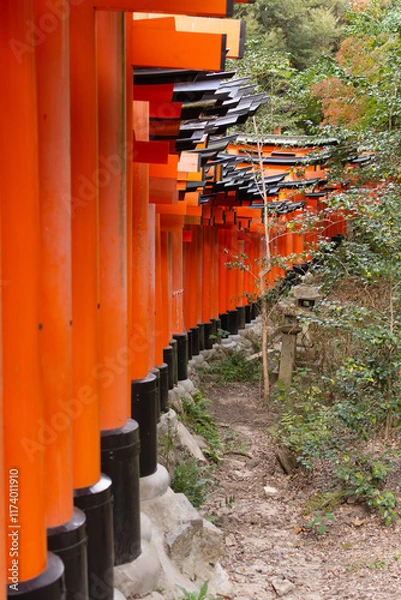 Fototapeta Side of many japanese torii gates in Kyoto at Fushimi Inari-Taisha shrine