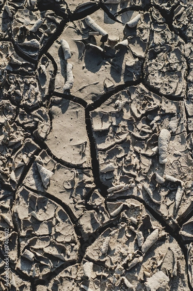 Fototapeta dried earth