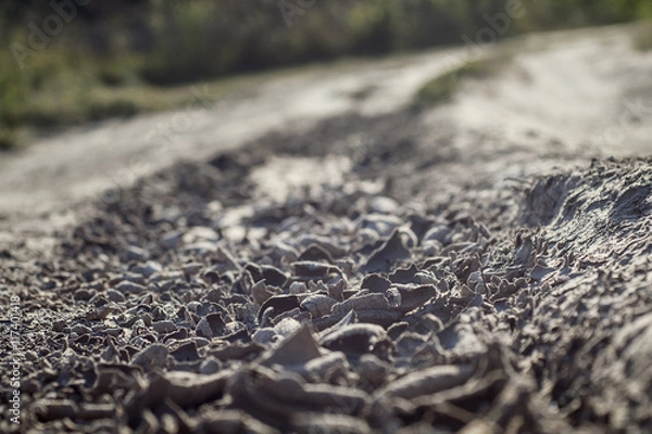 Fototapeta dried earth