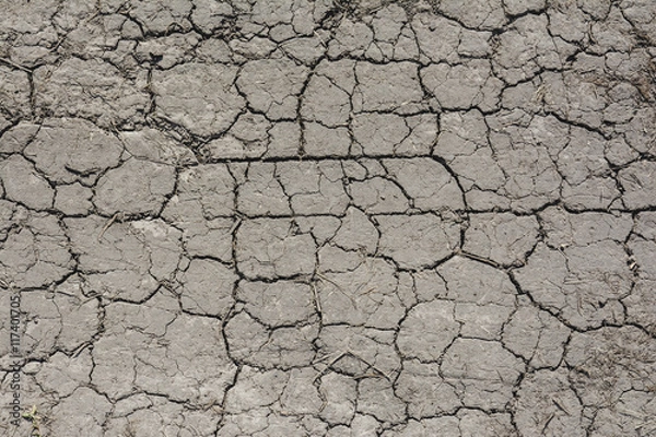 Fototapeta dried earth