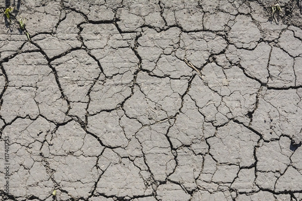 Fototapeta dried earth