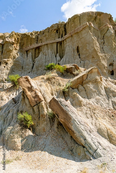 Obraz Cannonball Concretions