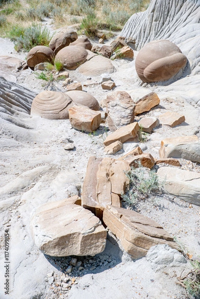 Obraz Cannonball Concretions