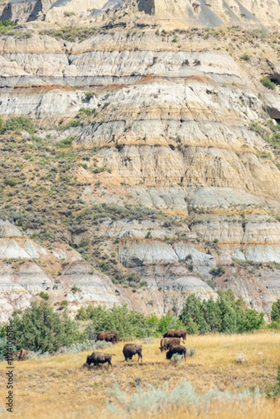 Obraz South Unit Scenic Drive