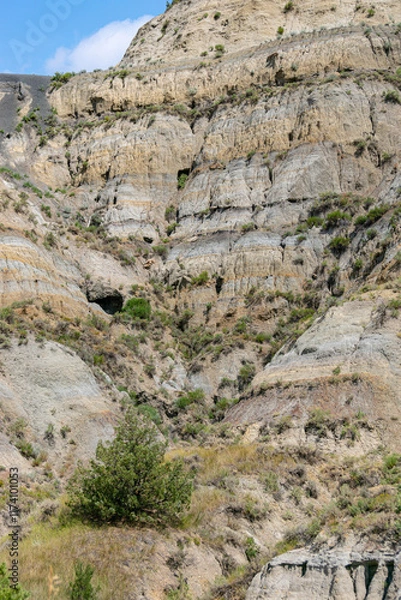 Obraz South Unit Scenic Drive