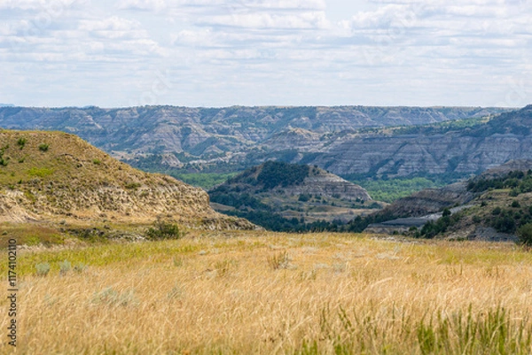 Obraz South Unit Scenic Drive