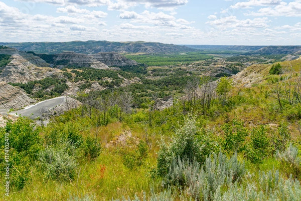 Obraz South Unit Scenic Drive