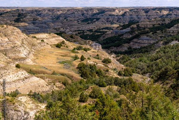 Obraz South Unit Scenic Drive