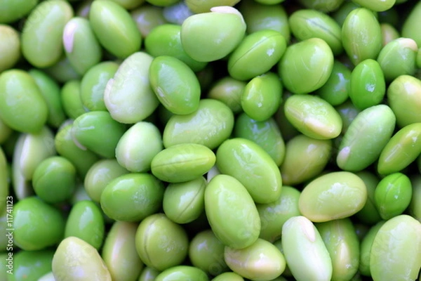 Obraz Edamames
