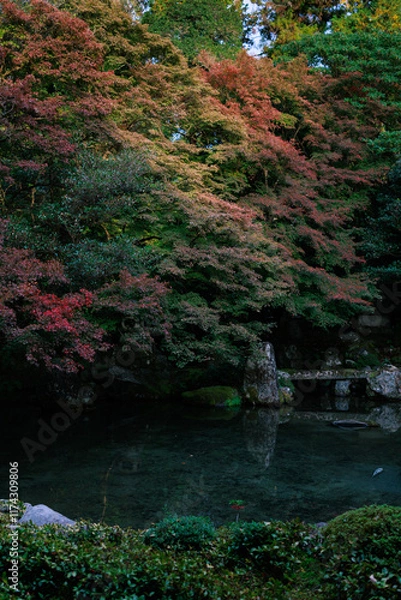 Obraz 秋に染まり狂う蓮華寺