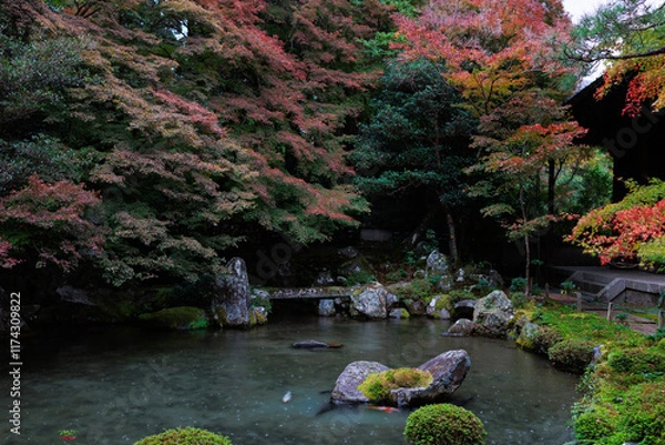 Obraz 秋に染まり狂う蓮華寺