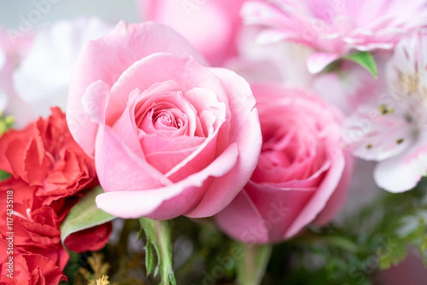 Fototapeta 薔薇の花の接写