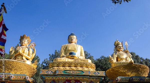 Fototapeta The Golden Buddha Statues in Buddha Park, Swayambhunath area, Kathmandu, Nepal, the World Heritage Site declared by UNESCO