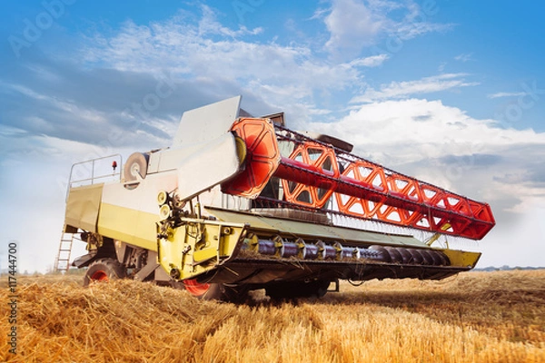 Fototapeta Combine-harvester collecting wheat grain. Close-up. Cloud blue sky. Horizontal. Working concept