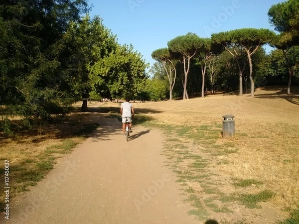 Obraz andare in bicicletta