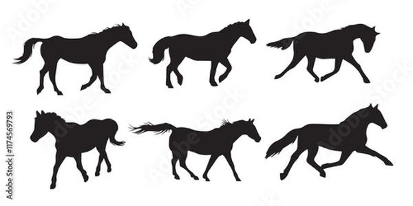 Obraz silhouette horse