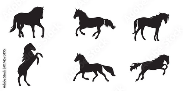 Obraz silhouette horse