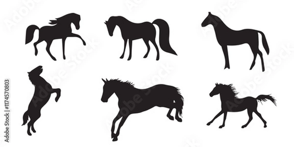 Obraz silhouette horse
