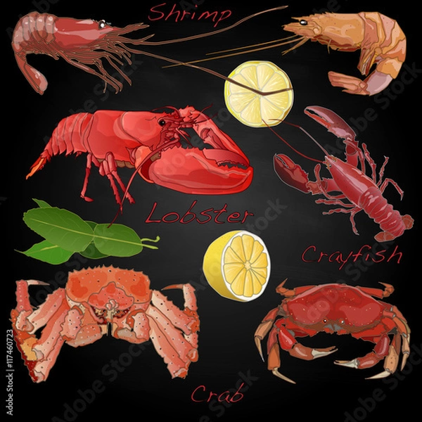 Obraz Sea food illustration vector set