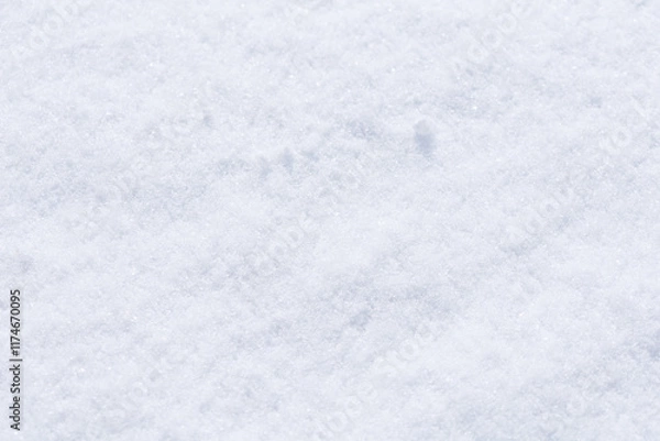 Obraz 雪の背景