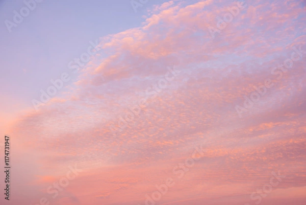 Fototapeta Lovely pink vibrant sky cloud ofrmation for use as background