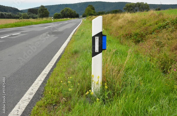 Obraz Leitpfosten und Wildreflektor