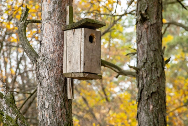 Fototapeta A wooden birdhouse on a tree in an autumn forest. The concept of bird nesting and wildlife habitat