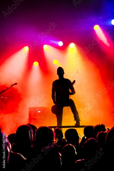 Fototapeta silhouette of guitar player in action on stage in front of concert crowd