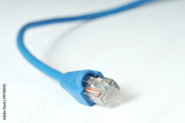 Obraz Macro of internet cable