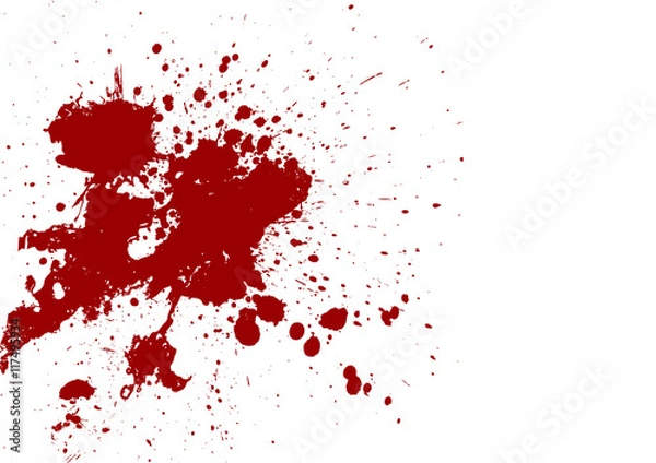 Fototapeta vector splatter red color background. illustration vector design