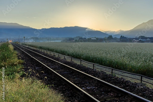 Obraz 越前田野の蕎麦畑と越美北線に荒島岳からの朝日が刺す瞬間