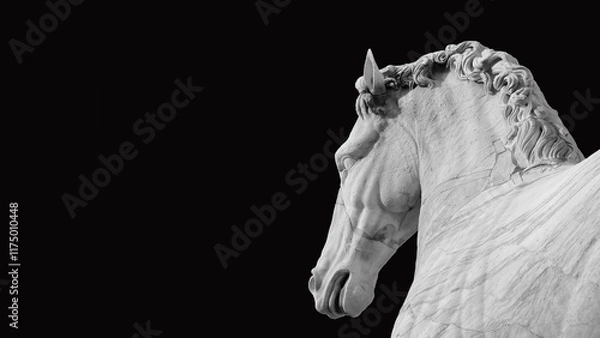 Fototapeta Ancient roman marble statue of an horse at the top of Capitoline Hill in Rome, dated back to the 1st century BC (Isolated on black background with copy space)