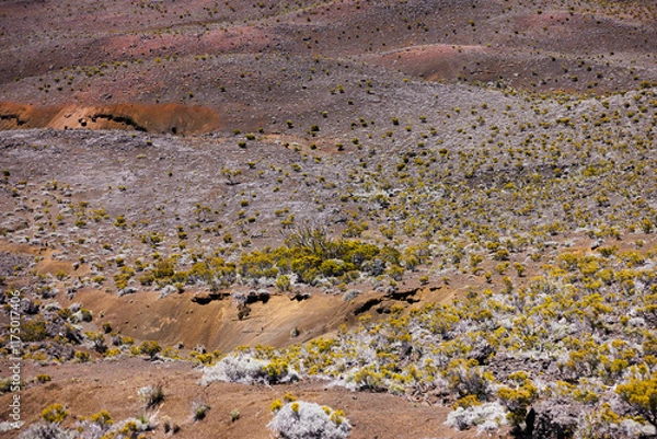 Fototapeta Volcanic Terrain Reunion Island