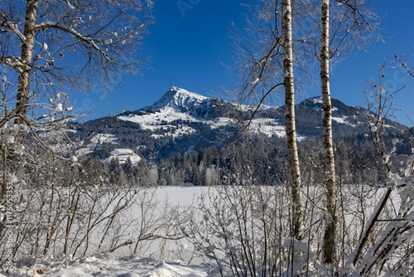 Obraz Winter in Tirol