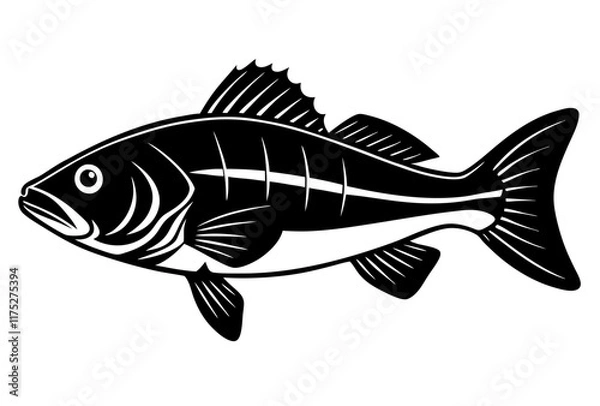 Obraz fish on white background