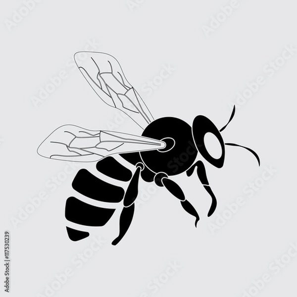 Obraz bee vector silhouette simple icon