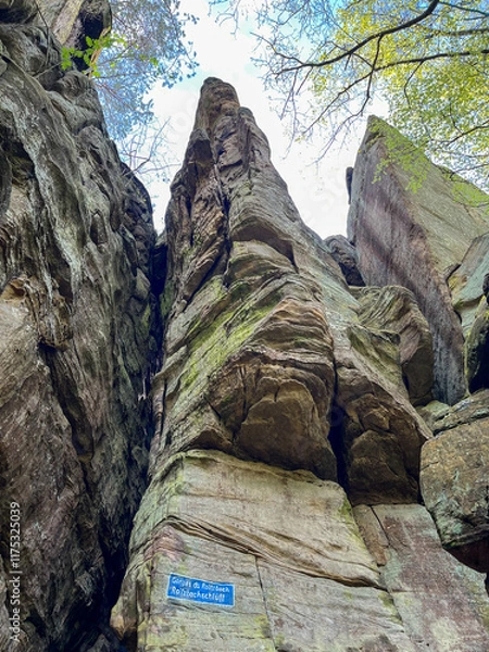 Fototapeta Natural stone wall in the forest in the Mullerthal region, Luxembourg.